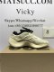 PK BASF YEEZY 700 V3 AZAEL