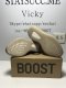 PK BASF YEEZY BOOST 350 V2 SLATE 7870