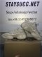 GOD YEEZY 500 DESERT RAT BLUSH RETAIL SAMPLE VERSION READY TO SHIP